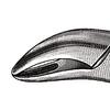 Extraire pince – Nº  62, les 6-1/2"universel - Extracting Forceps – # 62, 6-1/2", Universal