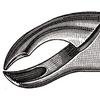 Davier – N° 90, gauche - Extracting Forceps – # 90, Left