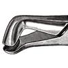 Davier – N° 222, universel - Extracting Forceps – # 222, Universal
