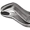 Davier – N° 210S, universel - Extracting Forceps – # 210S, Universal