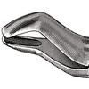 Davier – N° 10S, 6-1/2", universel, petits becs - Extracting Forceps – # 10S, 6-1/2", Universal, Small Beaks