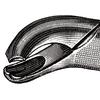 Davier – N° 15, molaires inférieures - Extracting Forceps – # 15, Lower Molars