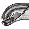 Davier – N° 24, universel - Extracting Forceps – # 24, Universal