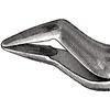 Extraire pince – nº 32, universel - Extracting Forceps – # 32, Universal