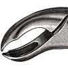 Extraire pince – nº 217, universel - Extracting Forceps – # 217, Universal