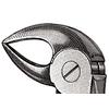 Extraire pince – n° 33, anglais modèle, 4-1/2", Petite - Extracting Forceps – # 33, English Pattern, 4-1/2", Petite