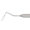 Sondes codées par couleur Qulix™ – PQ- OW Thin Williams, simple extrémité - 8 ResinEight Handle, Markings at  1-2-3-5-7-8-9-10