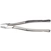 Davier, apical 1 - Extraction Forceps, 1 Apical
