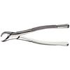 Davier, 23 - Extraction Forceps, 23