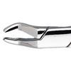 Davier Patterson® – N° 10 - Patterson® Extracting Forceps – # 10