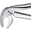 Davier Patterson® – N° FX13, universel - Patterson® Extracting Forceps – # FX13, Universal