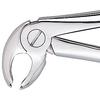 Davier Patterson® – N° FX22, universel - Patterson® Extracting Forceps – # FX22, Universal