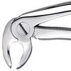 Davier Patterson® – N° 22A, universel - Patterson® Extracting Forceps – # 22A, Universal