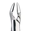 Davier Patterson® – N° 32, universel - Patterson® Extracting Forceps – # 32, Universal