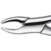 Davier Patterson® – N° 62 - Patterson® Extracting Forceps – # 62