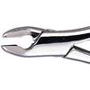 Davier Patterson® – N° 85 - Patterson® Extracting Forceps – # 85
