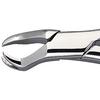 Davier Patterson® – N° 88R - Patterson® Extracting Forceps – # 88R