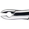 Davier Patterson® – N° 99C - Patterson® Extracting Forceps – # 99C