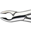 Davier Patterson® – N° 150A - Patterson® Extracting Forceps – # 150A