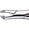 Davier Patterson® – N° 222, universel - Patterson® Extracting Forceps – # 222, Universal