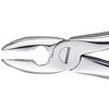 Davier Patterson® – N° MD1 - Patterson® Extracting Forceps – # MD1
