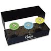 Logic Set, CeraGlaze® Porcelain Adjusting & Polishing Lab