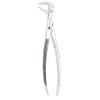 Extracting Forceps – # 73, English Pattern 