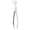 Extracting Forceps – # 74, English Pattern 
