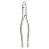 Extracting Forceps – # 99C 