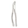 Extracting Forceps – # 151, Universal 