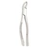 Extracting Forceps – # 151A, Universal 