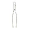 Extracting Forceps – # 201 