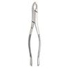 Extracting Forceps – # 203, Universal 