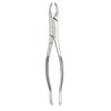 Extracting Forceps – # 210S, Universal 