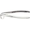 Davier – 33, style européen, strié - Extraction Forceps – 33, European Style, Serrated