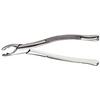 Davier – 151AS, becs divisés, strié - Extraction Forceps – 151AS, Split Beaks, Serrated