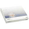 Composite universel Synergy® D6, recharge de seringue de 4 g