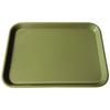 Plateaux à instruments, taille B, plat (Ritter) - Green