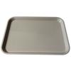 Plateaux à instruments, taille B, plat (Ritter) - Gray