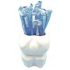 Dental Molar Mug 