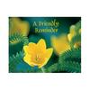 Floral Assortment Pack Personalized Postcard, 4-1/4" W x 6" H, 1,000/Pkg