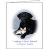 Photo Sympathy Card Assortment Pack, 4-1/4" x 5-1/2", 45/Pkg