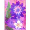 Flower and Leaf Postcard Assortment Packs