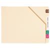 11-pt and 14-pt End-Tab Diagonal Cut File Pockets