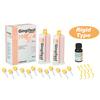 Gingifast Rigid, Type rigide
