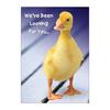 Animal Personalized Postcards, 100/Pkg