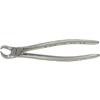 Pinces d’extraction Xcision® – n° 23, corne de vache, molaires inférieures - Xcision® Extracting Forceps – # 23, Cow Horn, Lower Molars