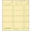 Safeguard Compatible Payroll Ledger Cards, 9-1/2" W x 11" H, 15/Pkg