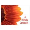Floral Personalized Postcards, 100/Pkg
