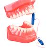 Mini-Prop Mouth Props – Small, 100/Pkg 